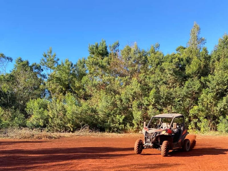 Madeira: Off-Road Buggy Driving Experience - Final verdict: book it for action, not just sightseeing