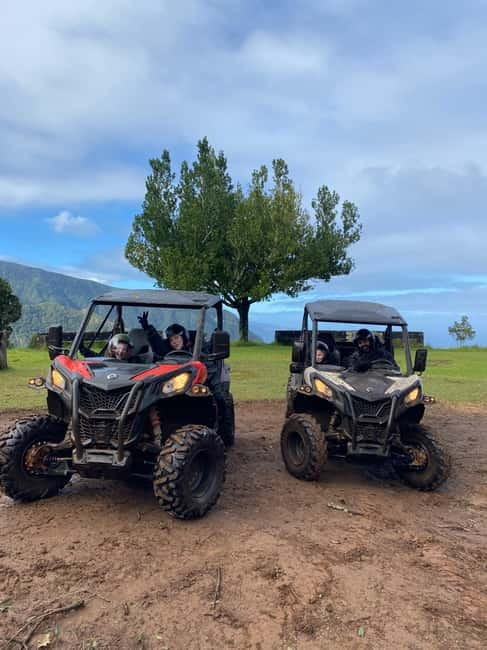 Madeira: Off-Road Buggy Driving Experience - Forest tracks, quiet corners, and changing scenery