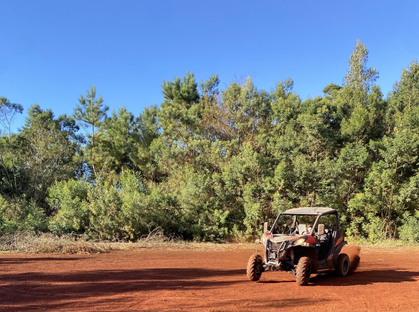 Madeira: Off-Road Buggy Driving Experience - Mountain viewpoints above northern Madeira