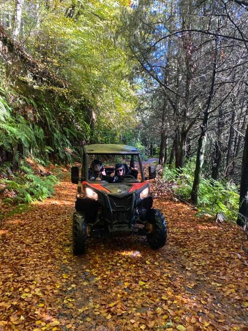 Madeira: Off-Road Buggy Driving Experience - How the price compares with the experience