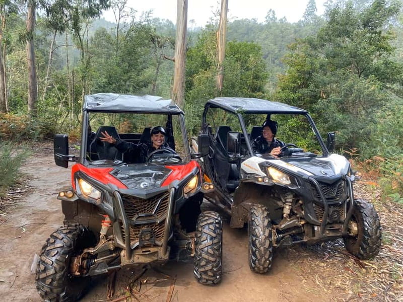 Madeira: Off-Road Buggy Driving Experience - Who will enjoy this Madeira buggy tour