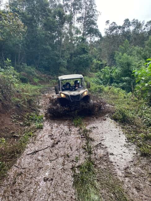 Madeira: Off-Road Buggy Driving Experience - What to bring and how to plan the day