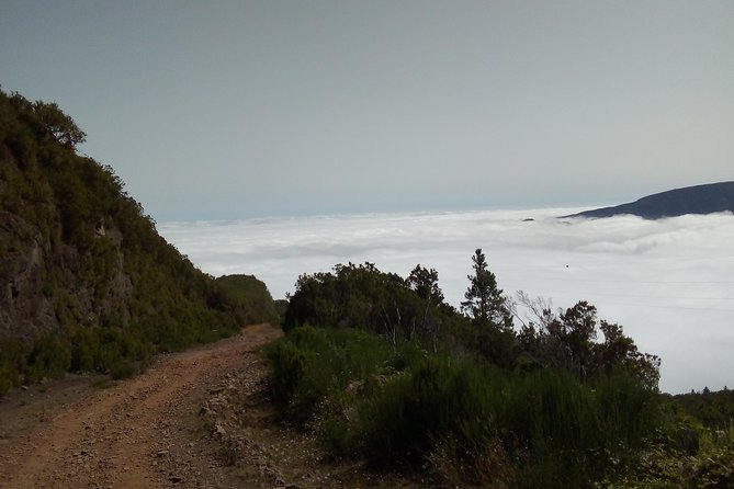 Madeira Off-Road Tours - The Valley of the Nuns: a shorter mountain outing