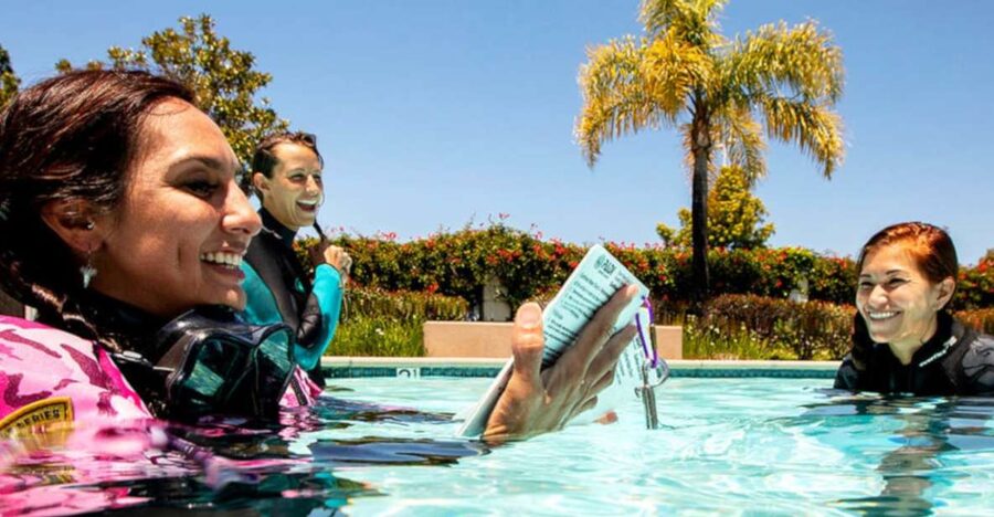 Madeira: Open Water Diver First Certification Course - Key points to know before booking