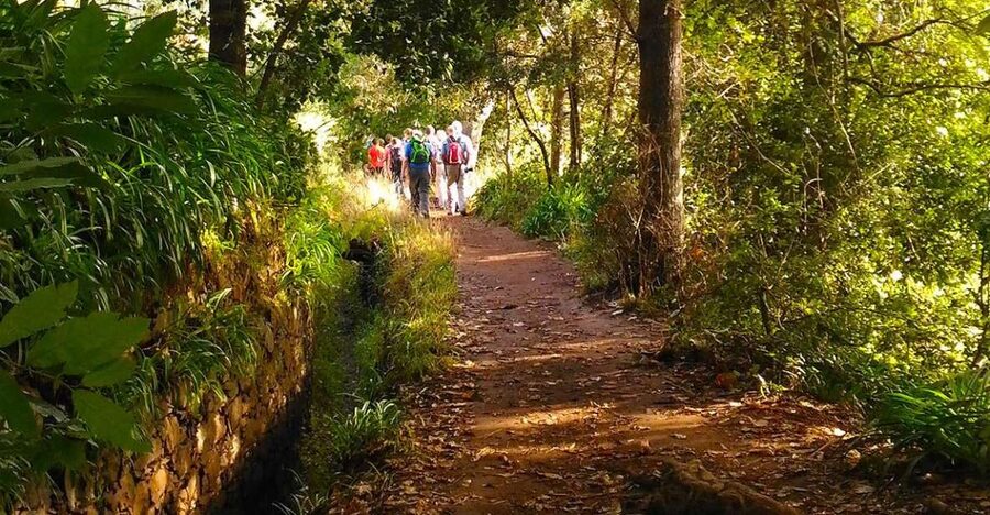 Madeira: Paradise Valley Levada Walk - Key points to know before you go
