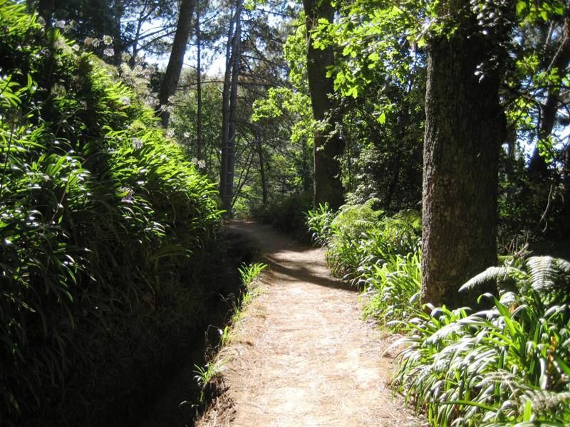 Madeira: Paradise Valley Levada Walk - Following the Levada Da Serra do Faial