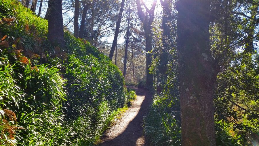 Madeira: Paradise Valley Levada Walk - The café and fruit stand stop