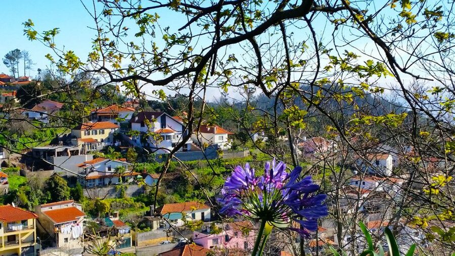 Madeira: Paradise Valley Levada Walk - Is $38 a fair price?