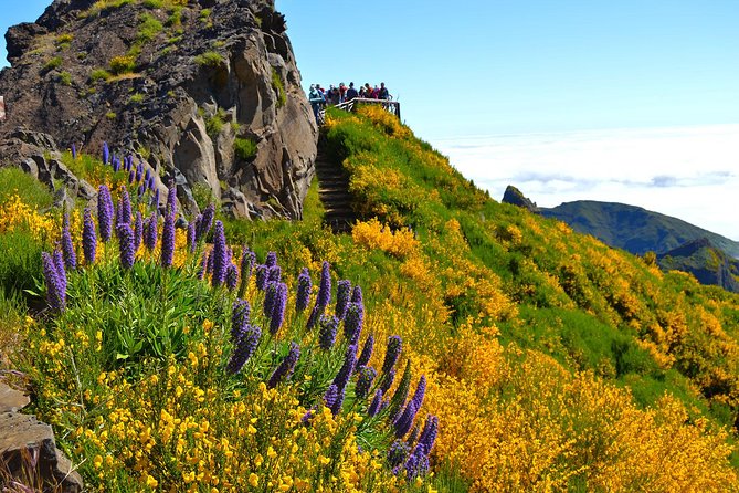 Madeira Peaks - Mountain Walk - Following Vereda do Pico Ruivo