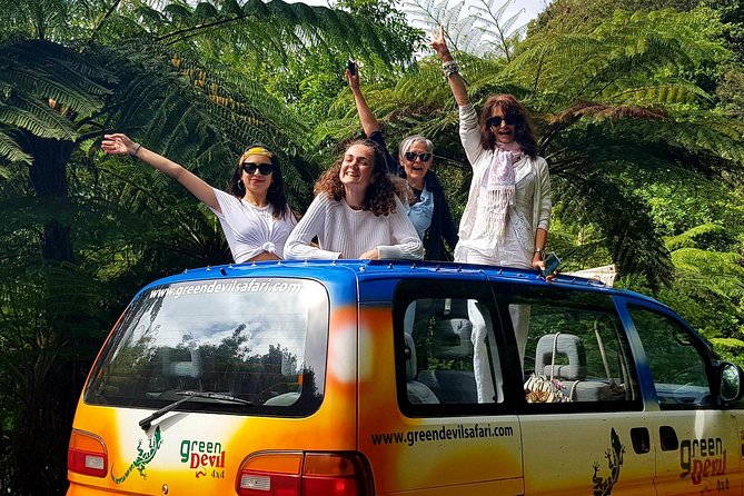 Madeira Peaks - Open 4X4 Full-Day Tour - Ribeiro Frio and the high mountain section