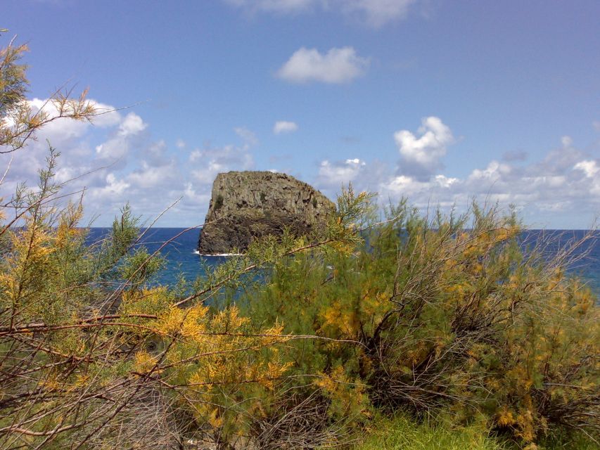 Madeira: Pico do Arieiro & Laurissilva Forest - East tour - Key points to know before booking