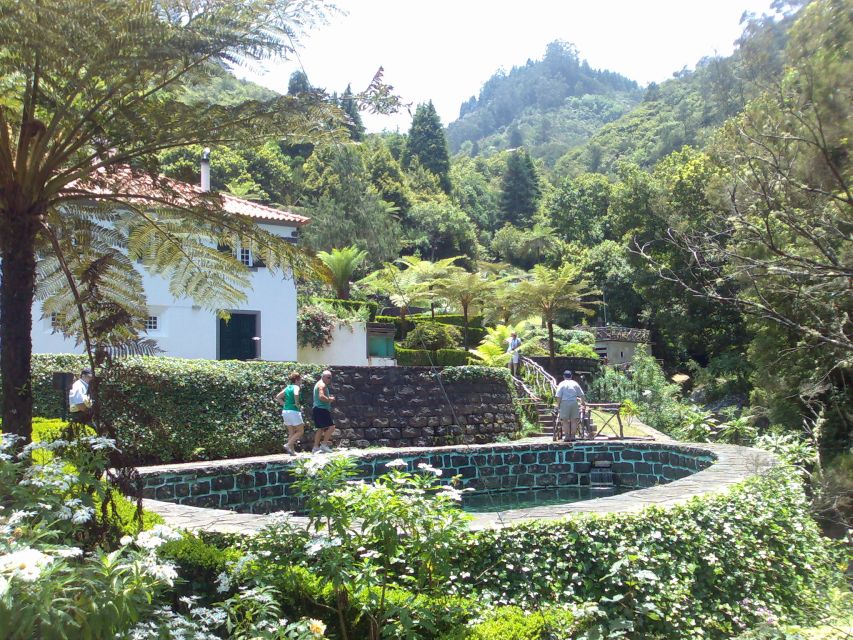 Madeira: Pico do Arieiro & Laurissilva Forest - East tour - Walking under ancient trees in Laurissilva Forest
