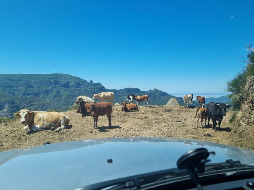 Madeira: Picturesque Peaks and Skywalk private 4x4 Jeep tour - Key points at a glance
