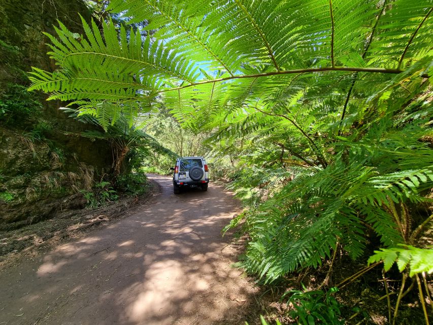 Madeira: Picturesque Peaks and Skywalk private 4x4 Jeep tour - Who will enjoy this route most