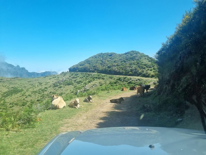 Madeira: Picturesque Peaks and Skywalk private 4x4 Jeep tour - Climbing toward Boca dos Namorados