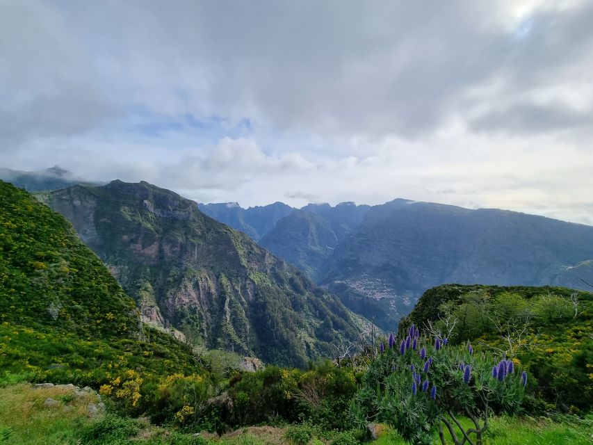 Madeira: Picturesque Peaks and Skywalk private 4x4 Jeep tour - What the private format really adds
