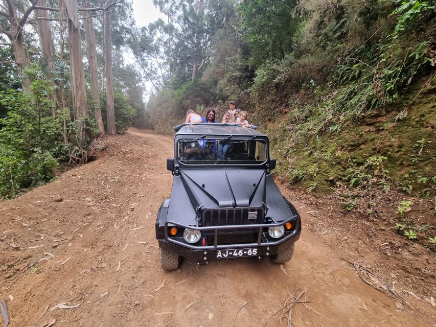Madeira: Picturesque Peaks and Skywalk private 4x4 Jeep tour - Pickup areas and practical planning