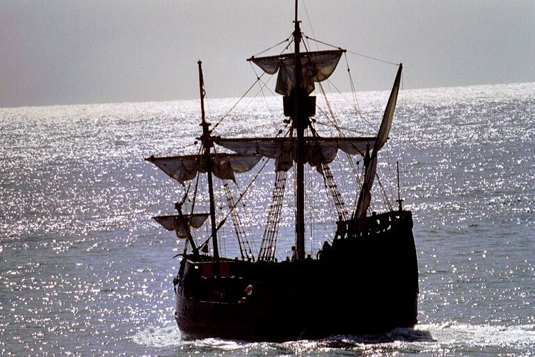 Madeira Pirate Ship: 3-Hour Boat Trip - Searching for dolphins and whales