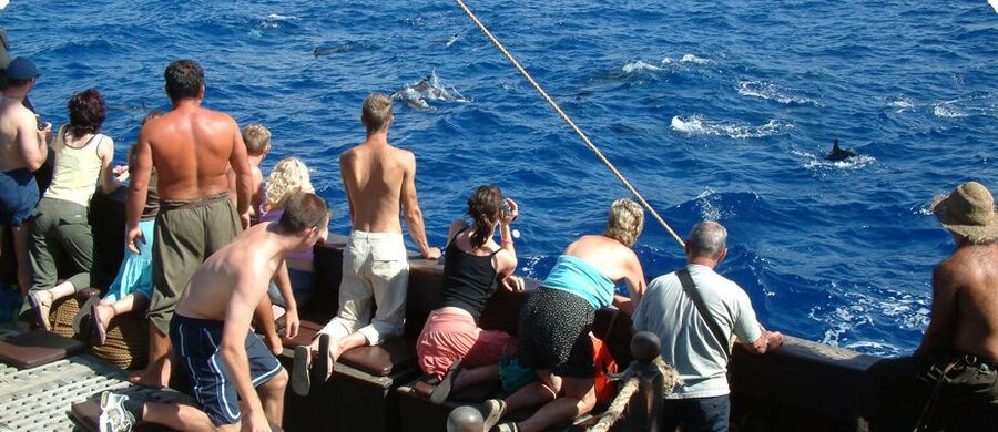 Madeira Pirate Ship: 3-Hour Boat Trip - Setting sail along Madeira’s south coast
