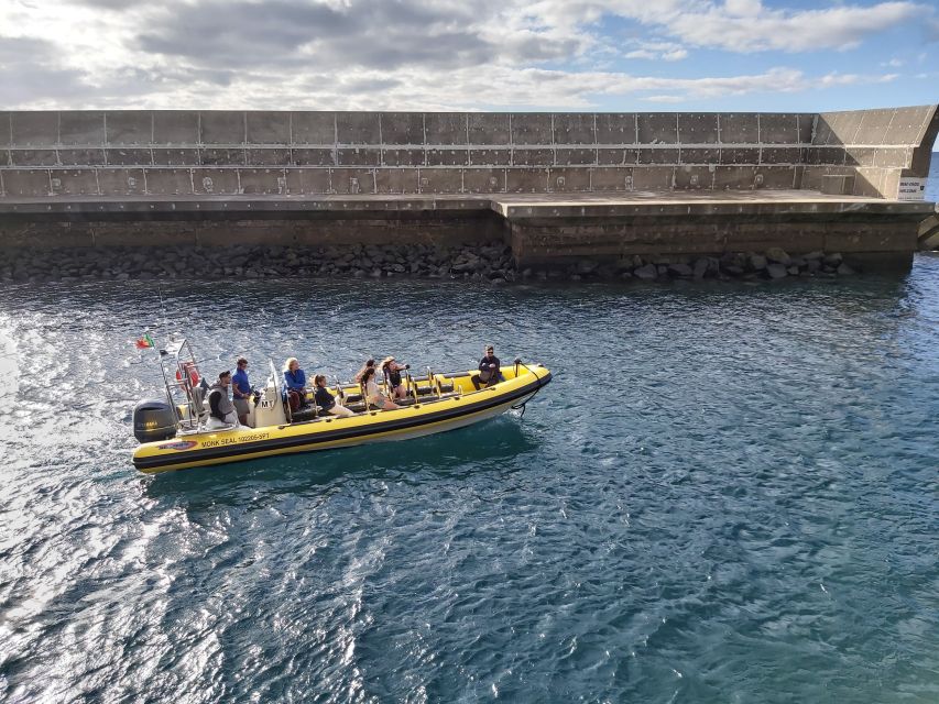 Madeira: Ponta de São Lourenço Lighthouse Boat Tour - Who should book this experience?