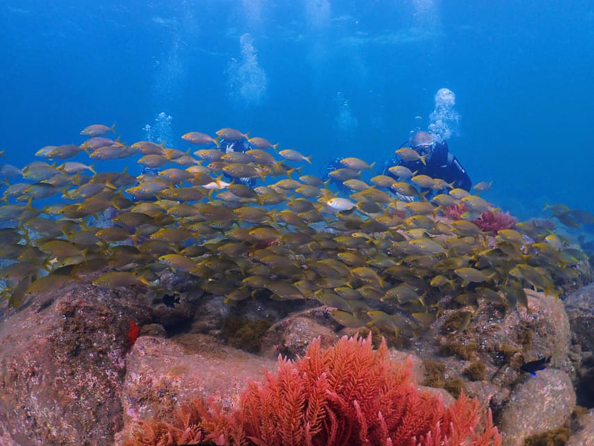 Madeira, Ponta São Lourenço: Scuba Diving for Beginners - Timing your day around the flight rule