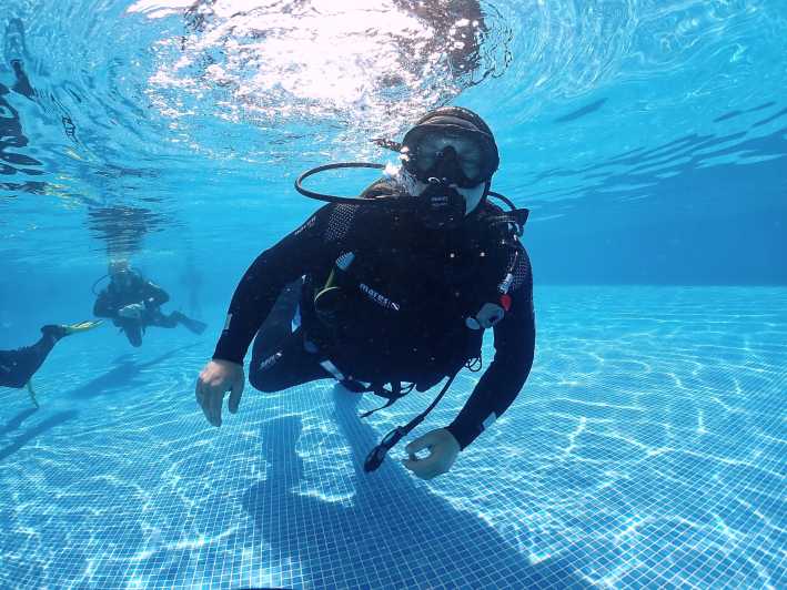 Madeira, Ponta São Lourenço: Scuba Diving for Beginners - Starting at Quinta do Lorde Marina