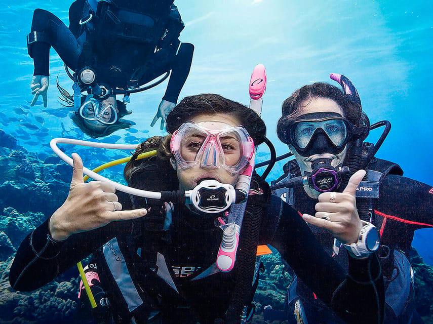 Madeira, Ponta São Lourenço: Scuba Diving for Beginners - Who should book this Madeira experience?