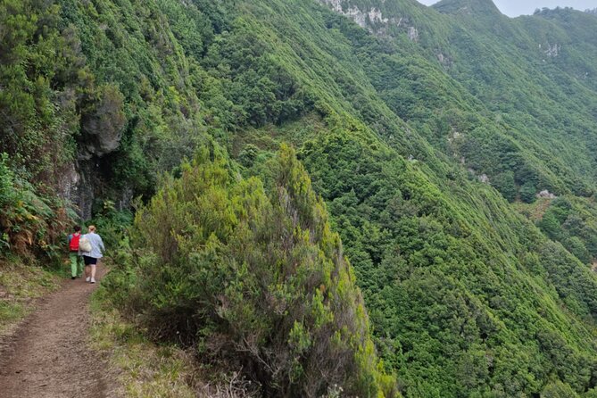 Madeira Porto da Cruz to Machico Self Hiking Tour with Transfer - Price and what you receive for $39.74