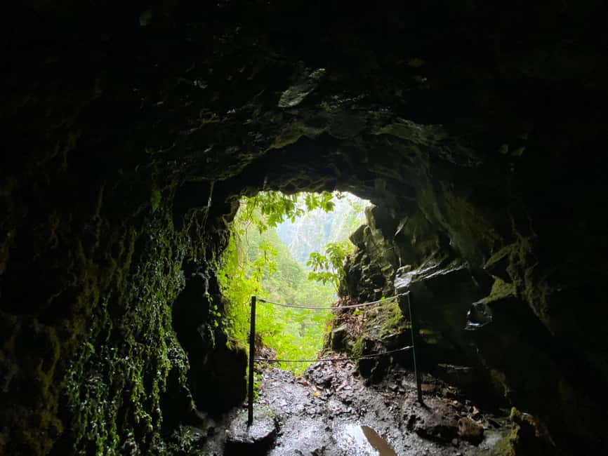 Madeira: PR 9 - Levada do Caldeirão Verde Hike Transfer - What You Are Really Booking