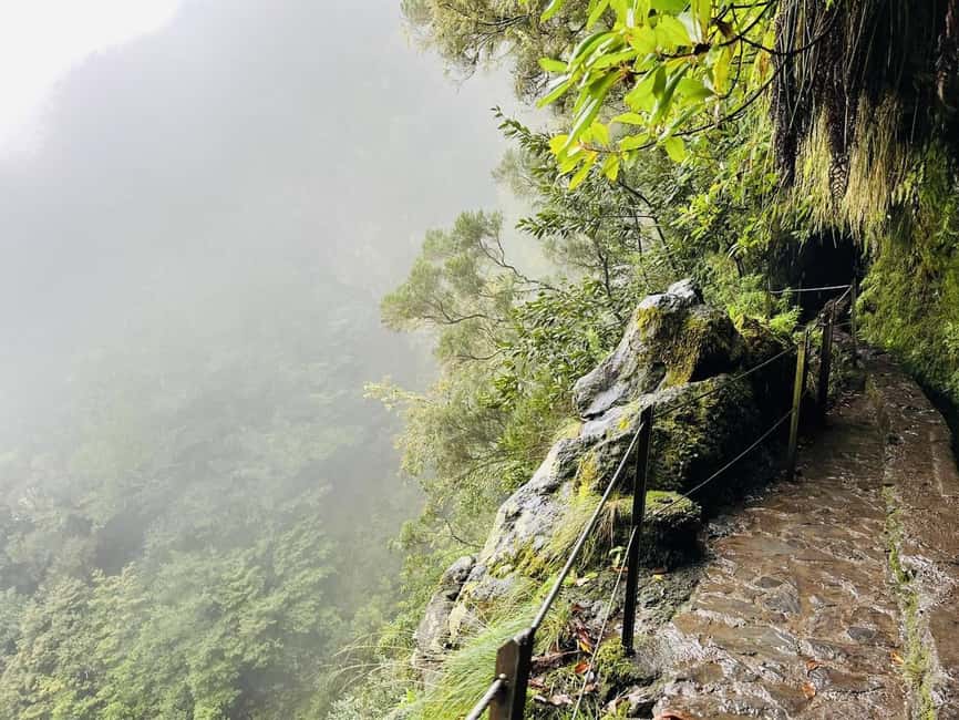 Madeira: PR 9 - Levada do Caldeirão Verde Hike Transfer - Following the Levada Through Laurissilva Forest