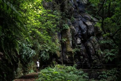 PR 9 – Levada do Caldeirão Verde Hike Transfer