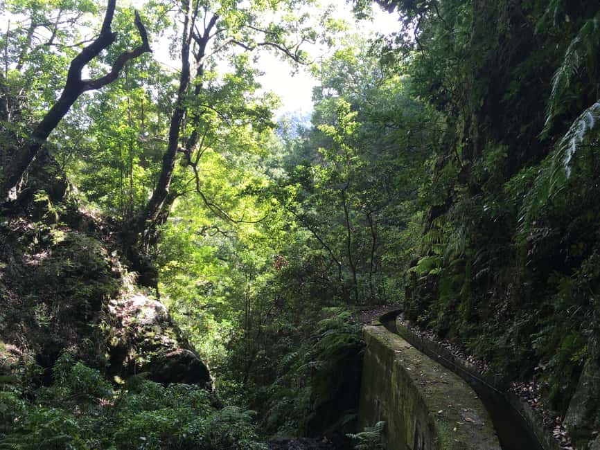 Madeira: PR 9 - Levada do Caldeirão Verde Hike Transfer - Who Will Enjoy This Walk Most?