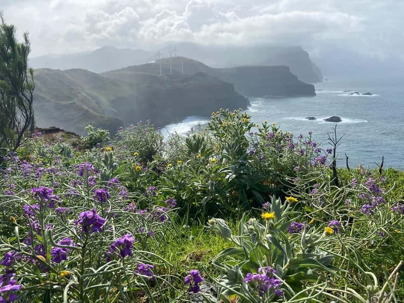 Madeira: PR8 -Ponta de São Lourenço Natural Reserve Transfer - Who will enjoy this most