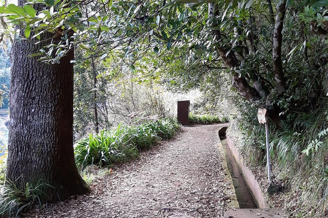 Madeira: Private 1.5-Kilometer Levada dos Balcões Hike PR11 - Why this short Madeira hike works so well