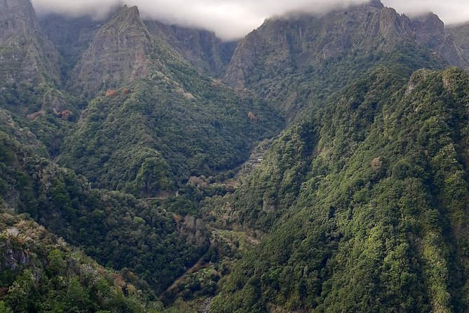 Madeira: Private 1.5-Kilometer Levada dos Balcões Hike PR11 - What a private guide adds