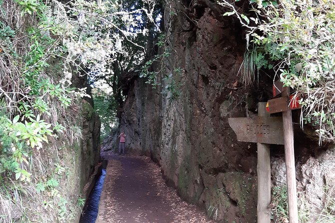 Madeira: Private 1.5-Kilometer Levada dos Balcões Hike PR11 - Who should book this experience