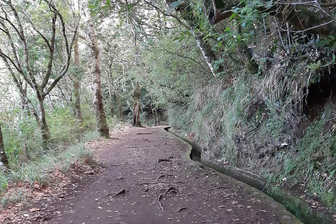 Madeira: Private 1.5-Kilometer Levada dos Balcões Hike PR11 - The walk to Balcões de Ribeiro Frio