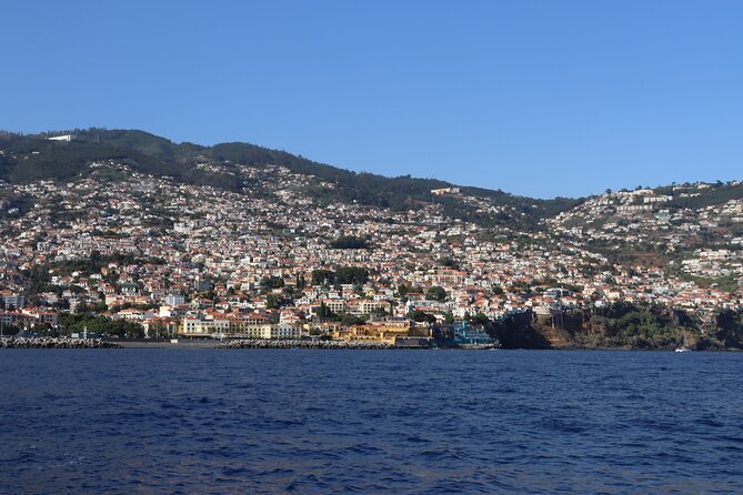 Madeira Private Boat Tour from Funchal - Passing Funchal’s Lido waterfront
