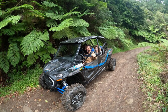 Madeira Private Buggy Adventure: Forest and Mountains - On-road and off-road driving in one outing