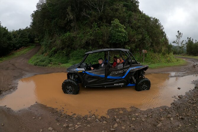 Madeira Private Buggy Adventure: Forest and Mountains - Roberto’s guiding style and local advice