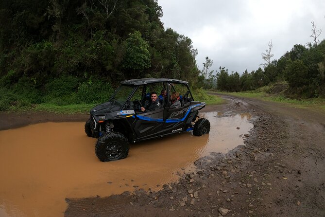 Madeira Private Buggy Adventure: Forest and Mountains - Is $111.02 per person good value?