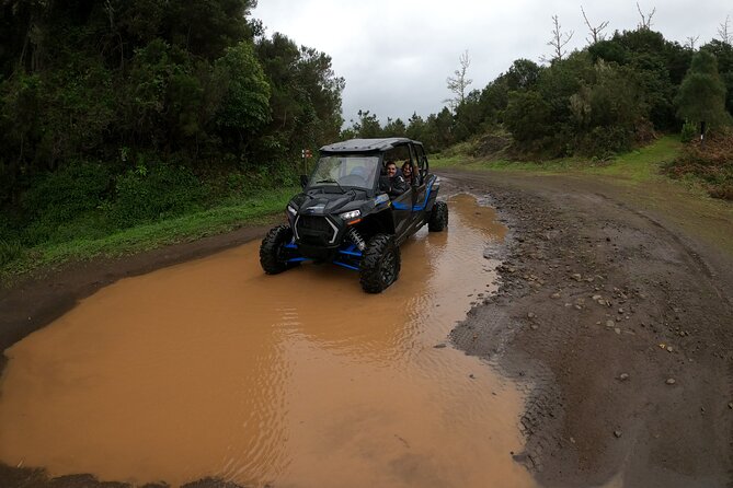 Madeira Private Buggy Adventure: Forest and Mountains - Who will enjoy this most?