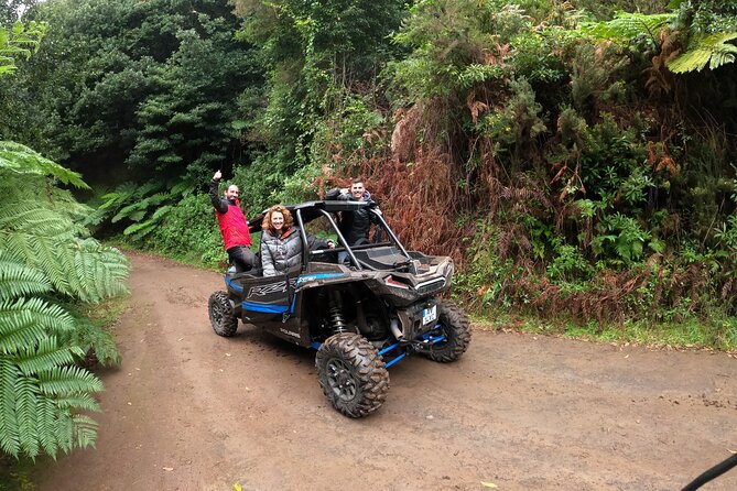 Madeira Private Buggy Adventure: Forest and Mountains - Laurissilva Forest and the high mountain views