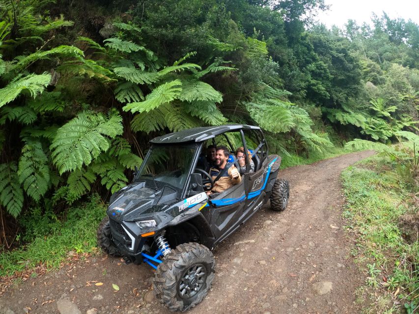 Madeira Private Buggy Adventure: Mountains and Forests - Key points to know before booking