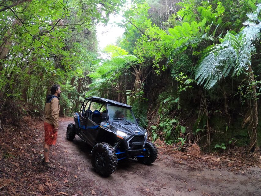 Madeira Private Buggy Adventure: Mountains and Forests - Who will enjoy this Madeira adventure most