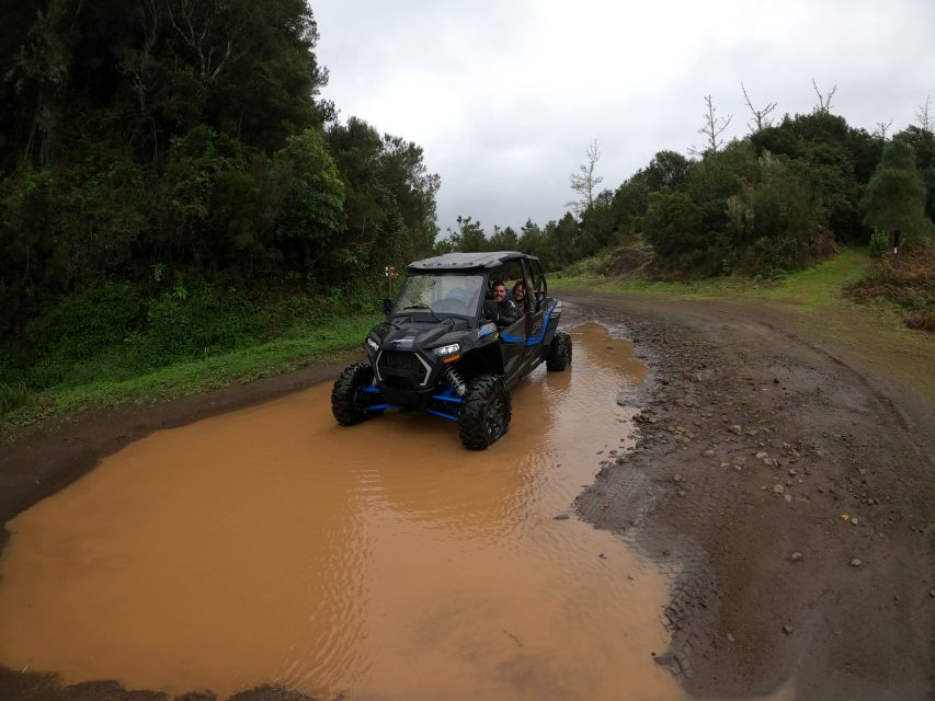 Madeira Private Buggy Adventure: Mountains and Forests - A private route from Funchal into the mountains