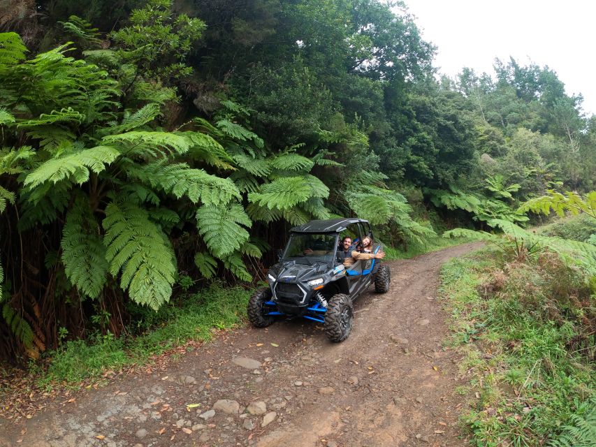 Madeira Private Buggy Adventure: Mountains and Forests - The Serra das Funduras trail is the real highlight