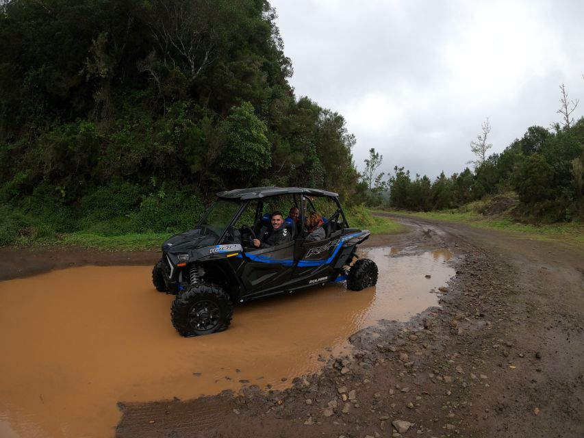 Madeira Private Buggy Adventure: Mountains and Forests - The Polaris RZR XP4 changes the feel of the tour