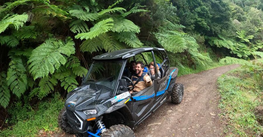 Madeira Private Buggy Adventure: Mountains and Forests - What makes the private format worth the price