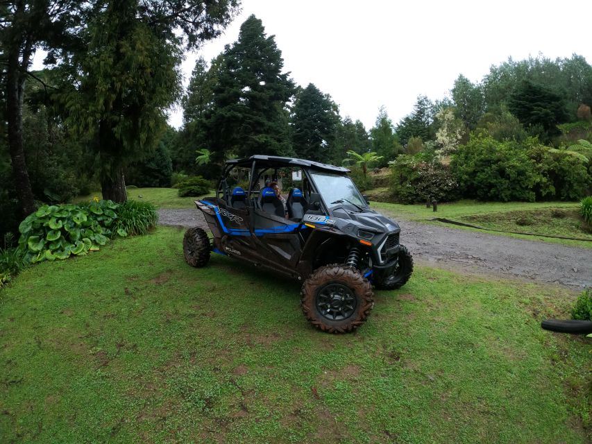 Madeira Private Buggy Adventure: Mountains and Forests - Pico Alto gives you an early view of Madeira